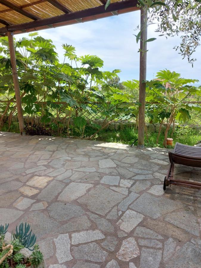 Villa Symphony Sea View Forio di Ischia Exterior foto