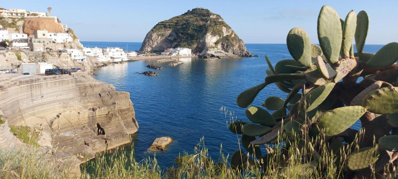 Villa Symphony Sea View Forio di Ischia Exterior foto