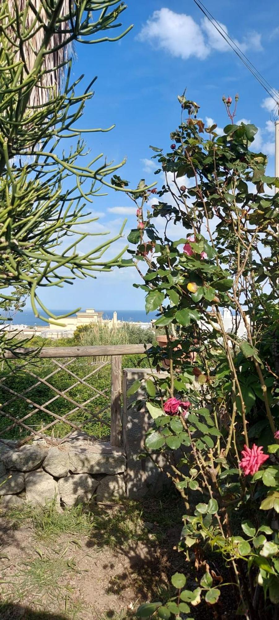 Villa Symphony Sea View Forio di Ischia Exterior foto