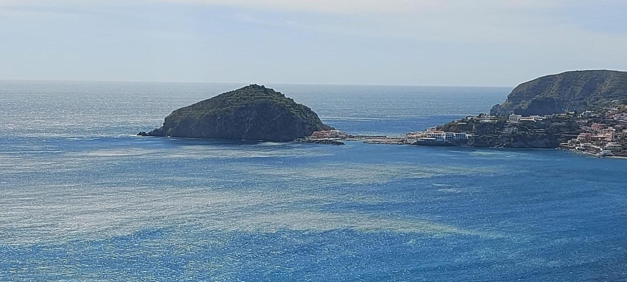 Villa Symphony Sea View Forio di Ischia Exterior foto