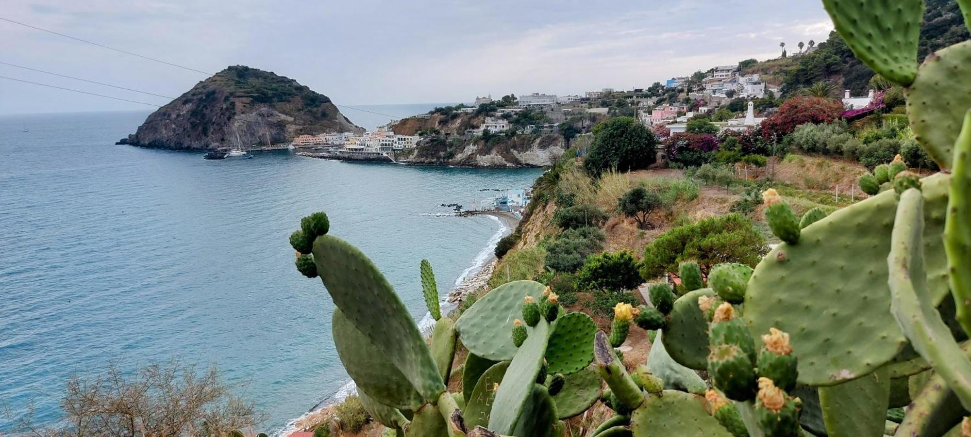 Villa Symphony Sea View Forio di Ischia Exterior foto
